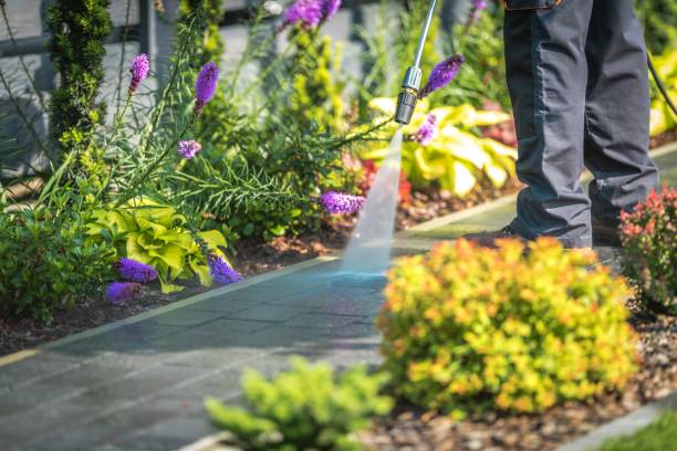 Winterizing Services in Friona, TX